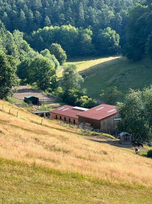 Ferienwohnung Beim Pferdehof Neuenstein  Екстериор снимка